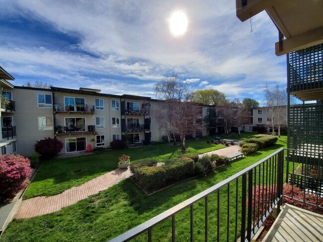 Photo - Southern Facing 1bd/ 1 bth apartment! Unit 315