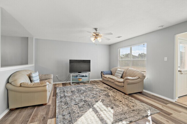 20807 Carsen Spring Ct