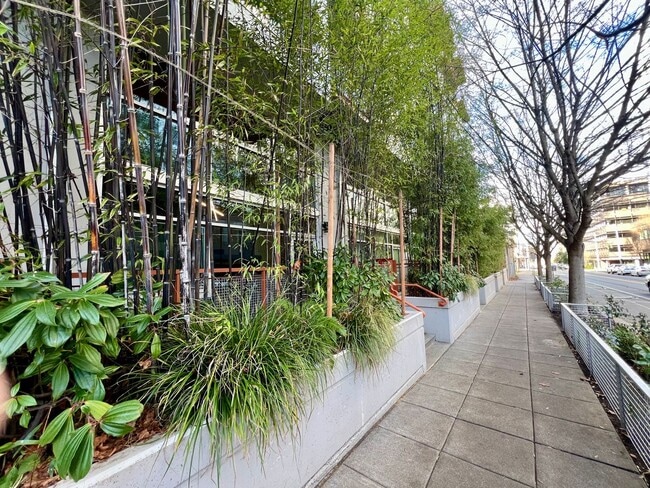 Building Photo - Veer Lofts Condominiums - South Lake Union Unit 316 - Veer Lofts #316