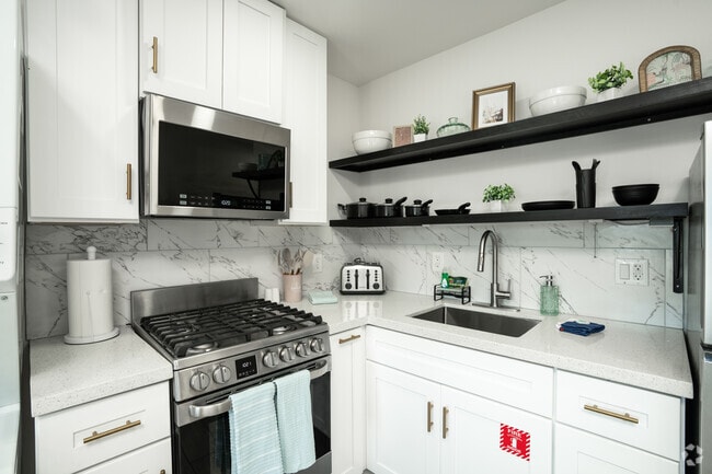 1BR, 1BA - 252SF - Kitchen