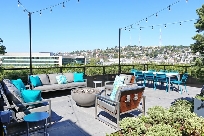 Photo - Tellus on Dexter