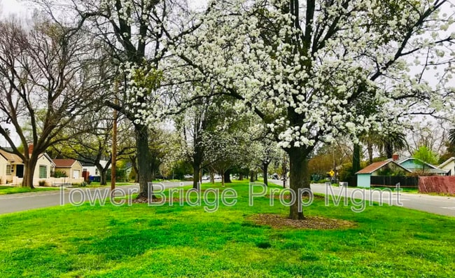 Photo - 5250 21st Ave