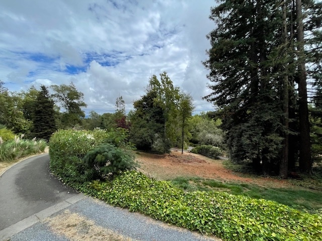 View from Front Porch - 1485 Timberhill Rd Unit Central