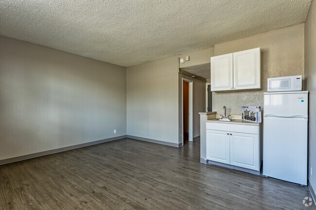 Deluxe Studio - 380 SF - Kitchen/ Living/Sleeping Area