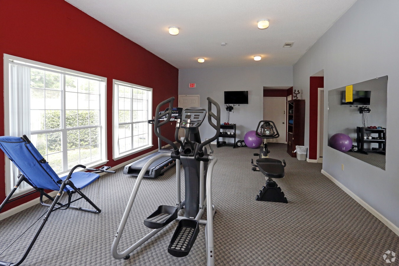 Photo - Pines on the Bay