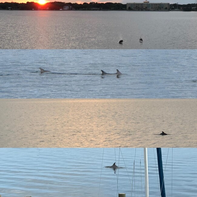 Photo - 202 Snug Harbour Dr