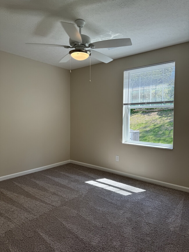 Photo - Walnut Woods