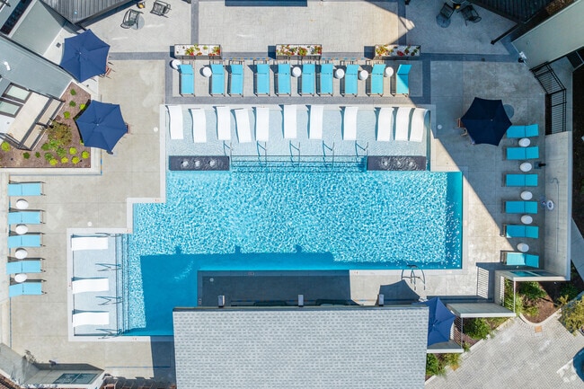 Resort-Style Pool