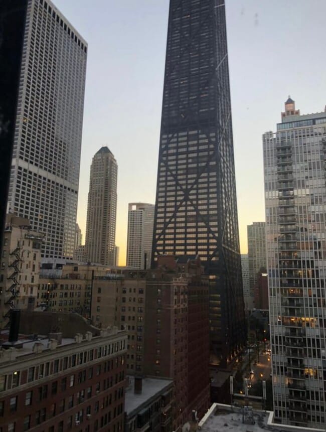 Building Photo - 900 N Lake Shore Dr Unit 1801 Rental