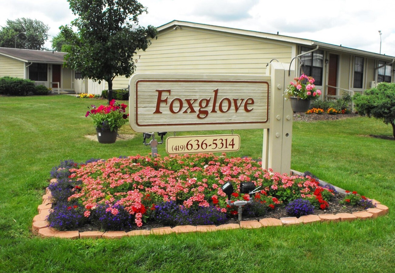 Photo - Foxglove Apartments