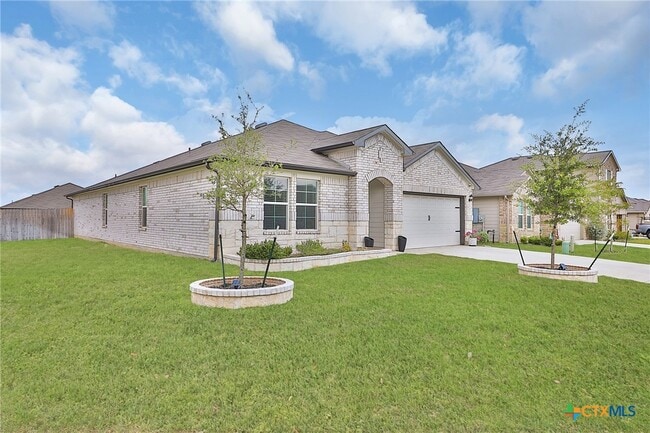 Photo - 801 Cinnamon Teal