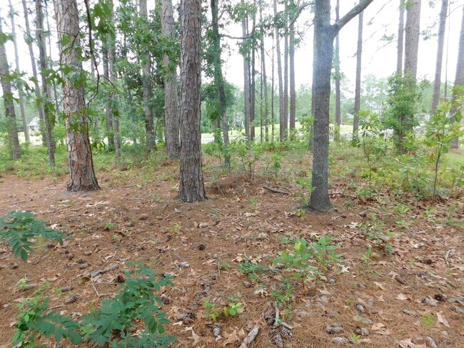 Photo - 914 Muirfield Pl