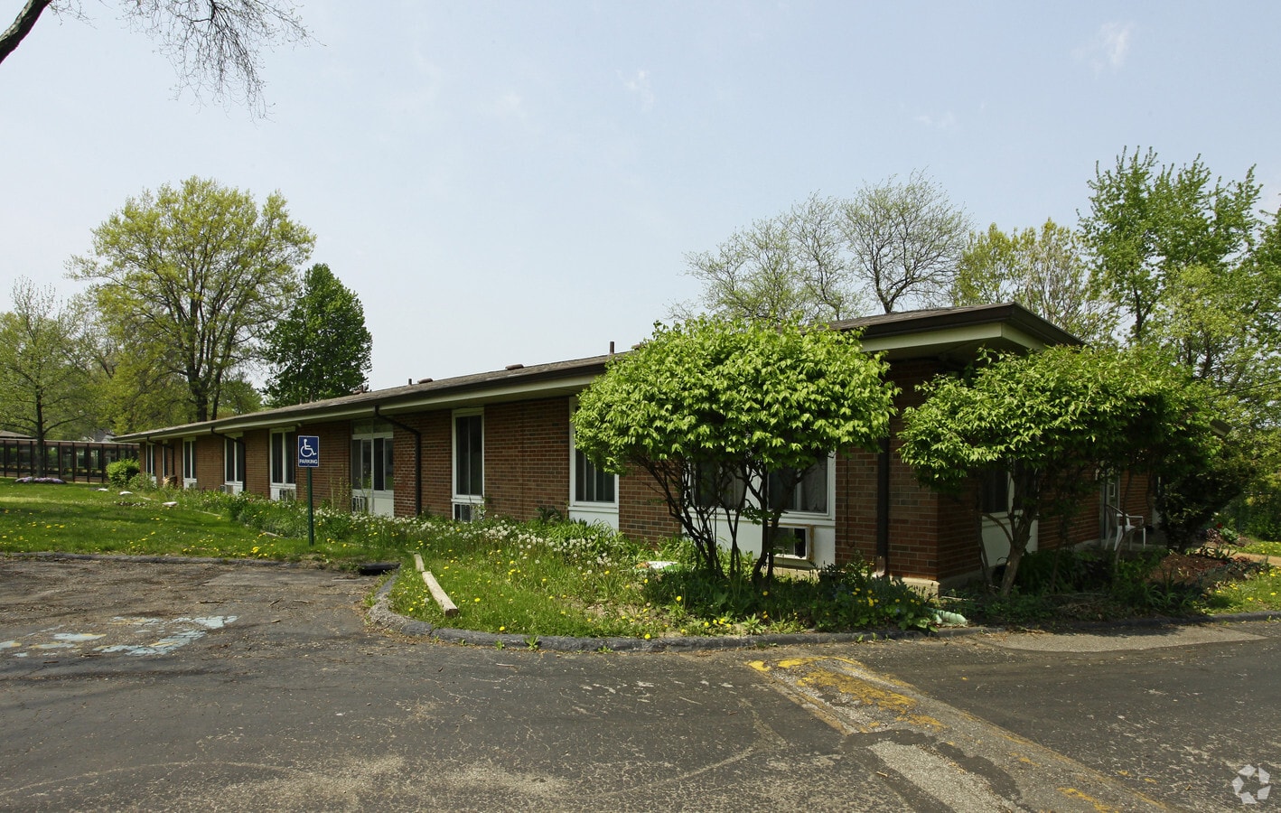 Photo - Council Gardens - Senior