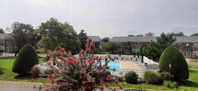 View from condo pool area - 310 Maryland Ave Unit 310 Maryland Ave.