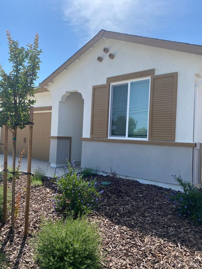 Building Photo - Brand New Home!