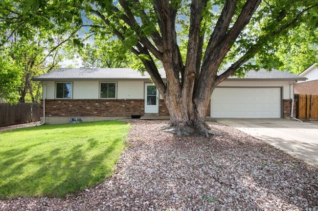 Awesome Littleton Ranch Home - Awesome Littleton Ranch Home