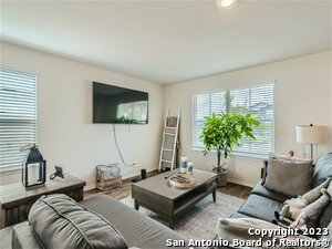 15347 Shortwing