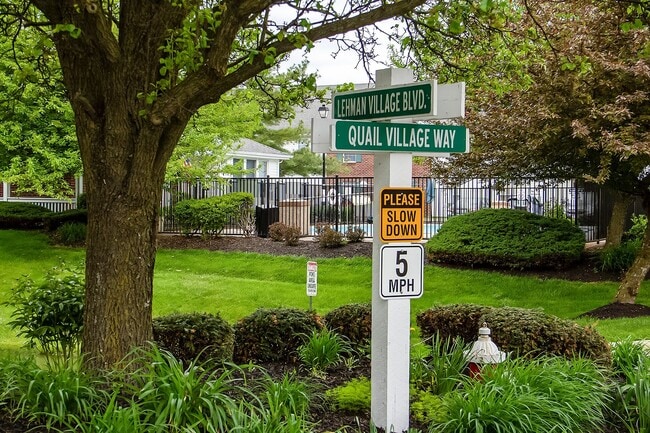 Lehman Village