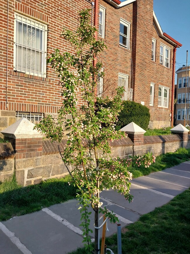 Side outside view - 115 W Sidney Ave Apartments Unit 113 West Sidney Avenue