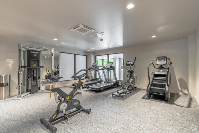 Gimnasio