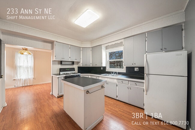Photo - 233 Ann St NE