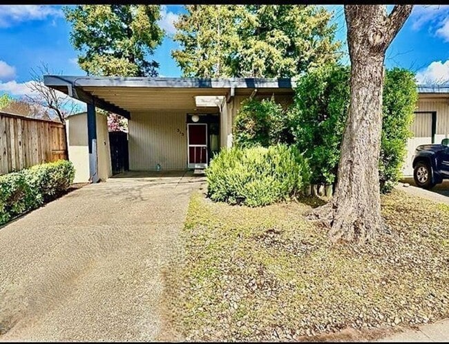 Building Photo - Nested in large shady tree