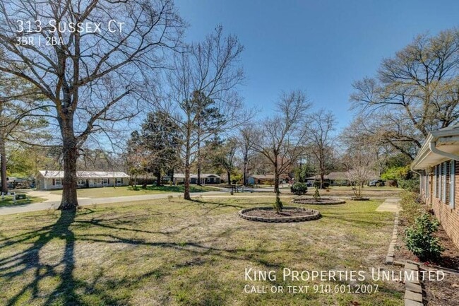 Photo - 313 Sussex Ct