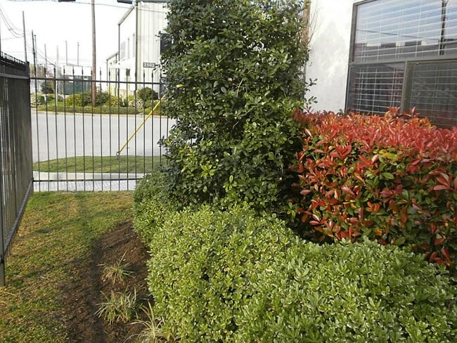 Photo - 703 St Charles St