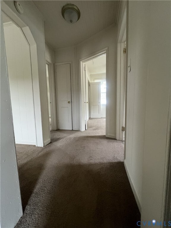 Photo - 2403 Oaklawn Blvd