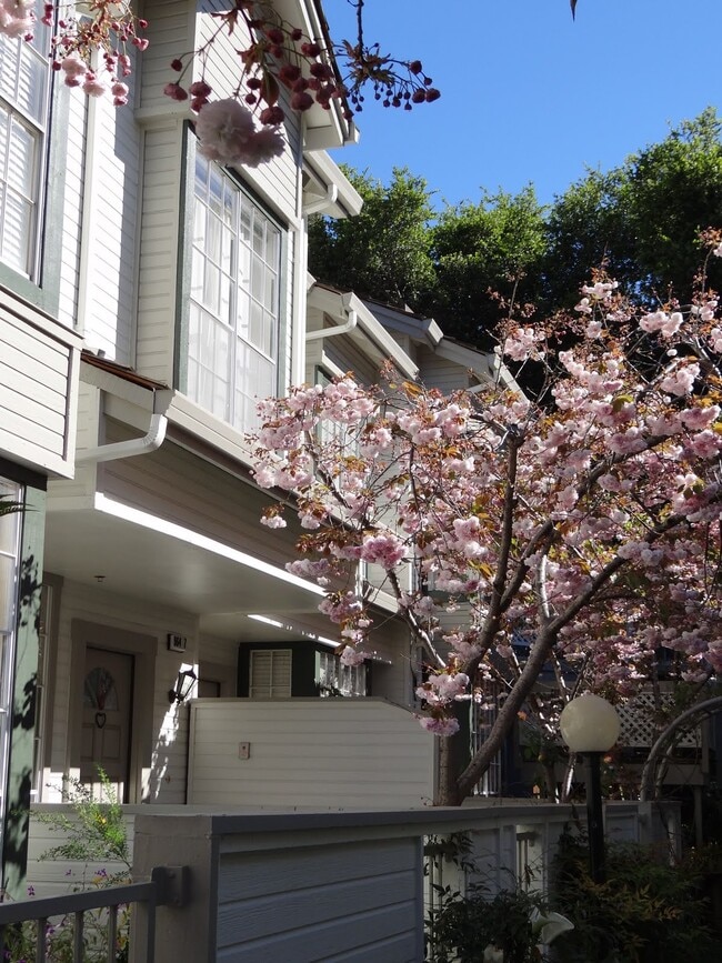 Photo - 964 Belmont Ter