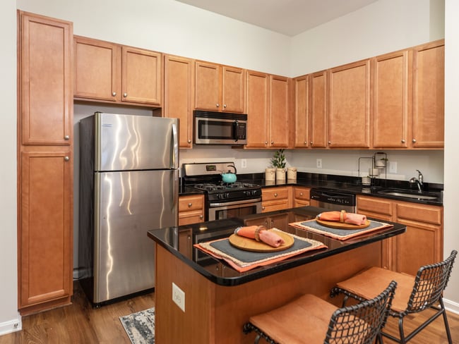 Apartment Kitchen