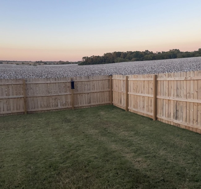Fenced backyard with great views - 291 Avebury Rd