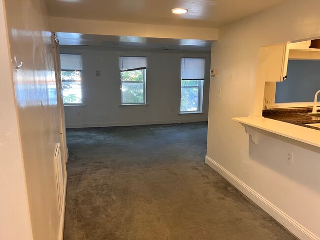 Photo - 1038 S Charles St Apartment Unit 1