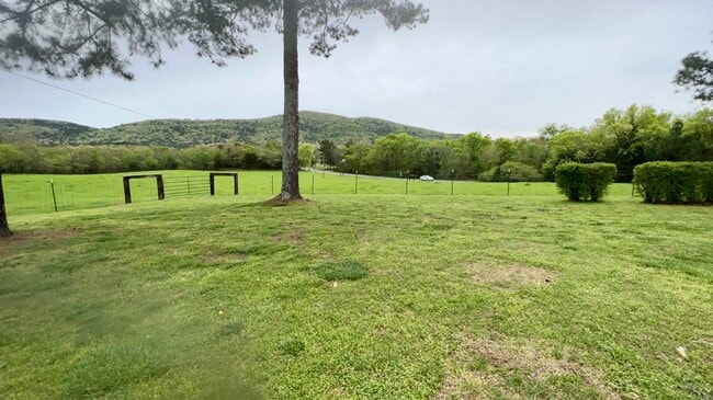 Photo - 572 Blacksnake Rd