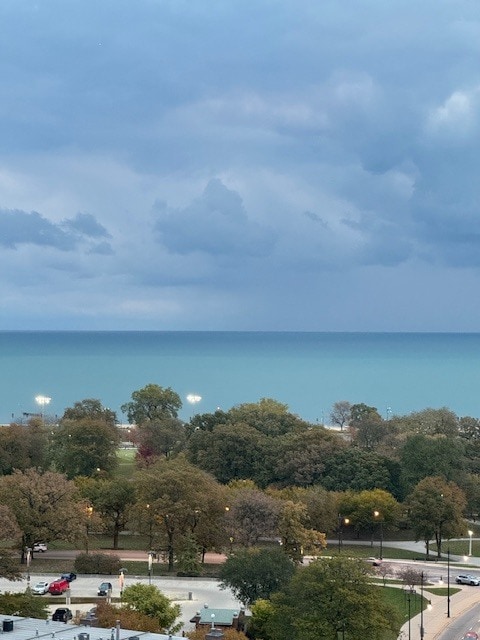 View - 1636 N Wells St Unit 1805