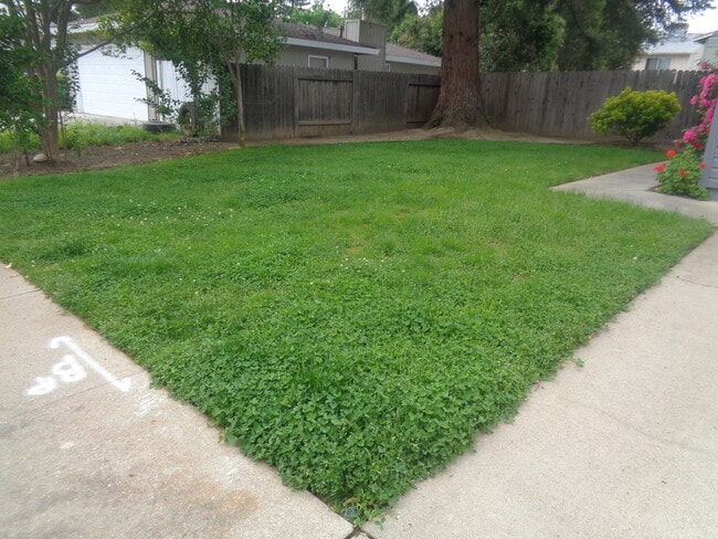 Photo - 1170 Forestwood Dr