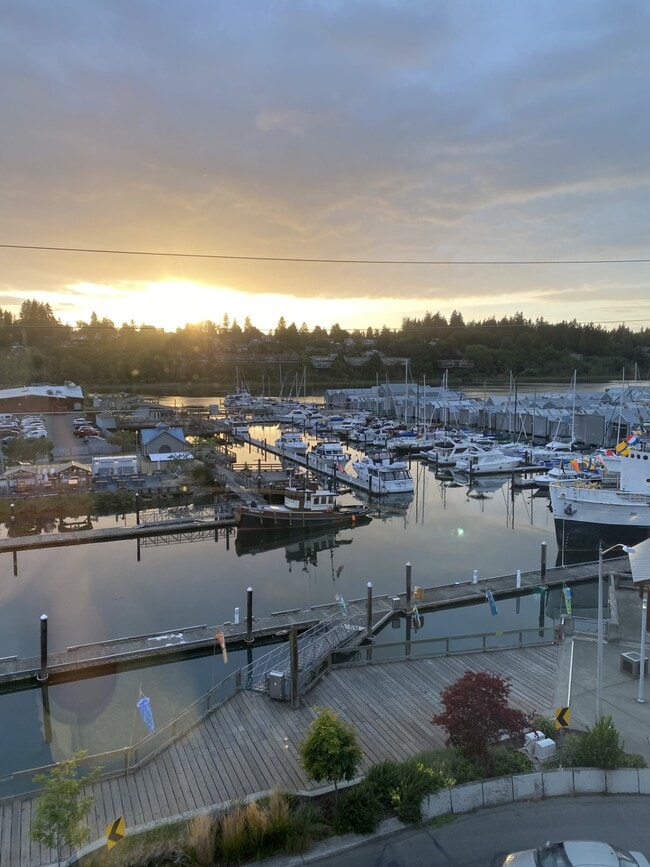 view from the 5th floor - The Madrone