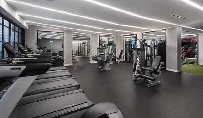 Estaciones de entrenamiento de cardio y peso