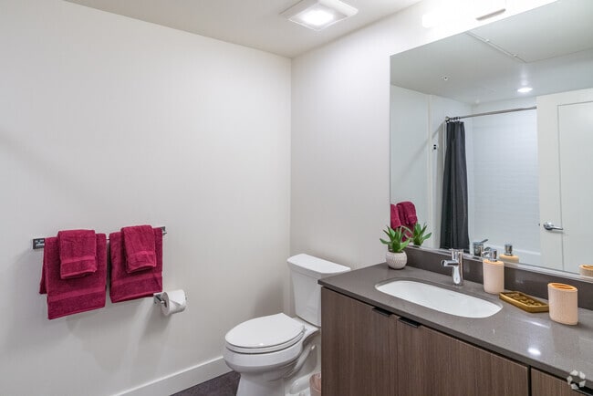 Photo - Webster Eleven