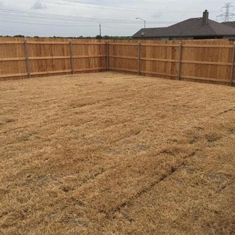 Photo - 4200 Summersweet Ln