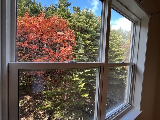 Photo - 91 Larkhall St