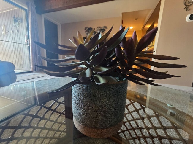 Building Photo - 5940 Baydy Peak Rd