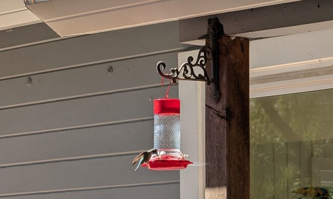 Photo - 460 Condor Ave