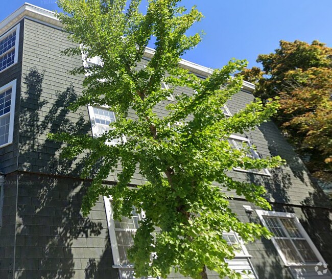 Building Photo - 344 Putnam Ave Rental