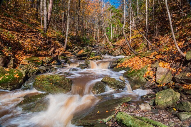 Photo - The Grindstone