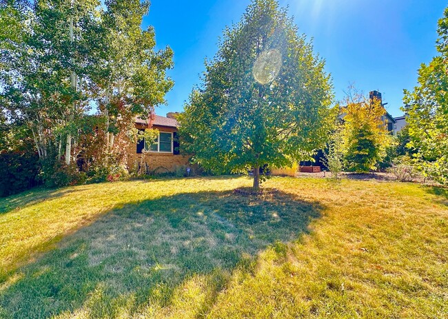 Spacious Home in the heart of Denver's cov... - Spacious Home in the heart of Denver's cov...