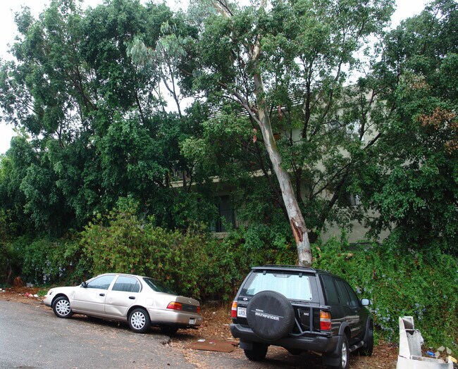 Oakridge Apartments - Oakridge Apartments