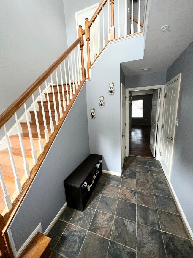 20 ft. Ceiling foyer - 3908 Apple Orchard Dr