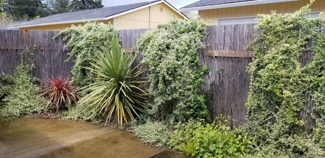 Photo - FERNII1220 Unit 6237