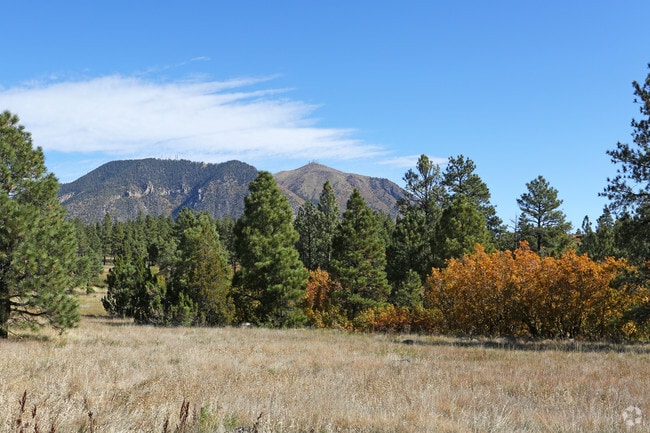 Photo - Ponderosa Park